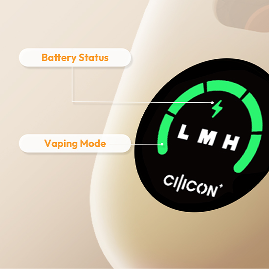 Vape-with-Screen-display