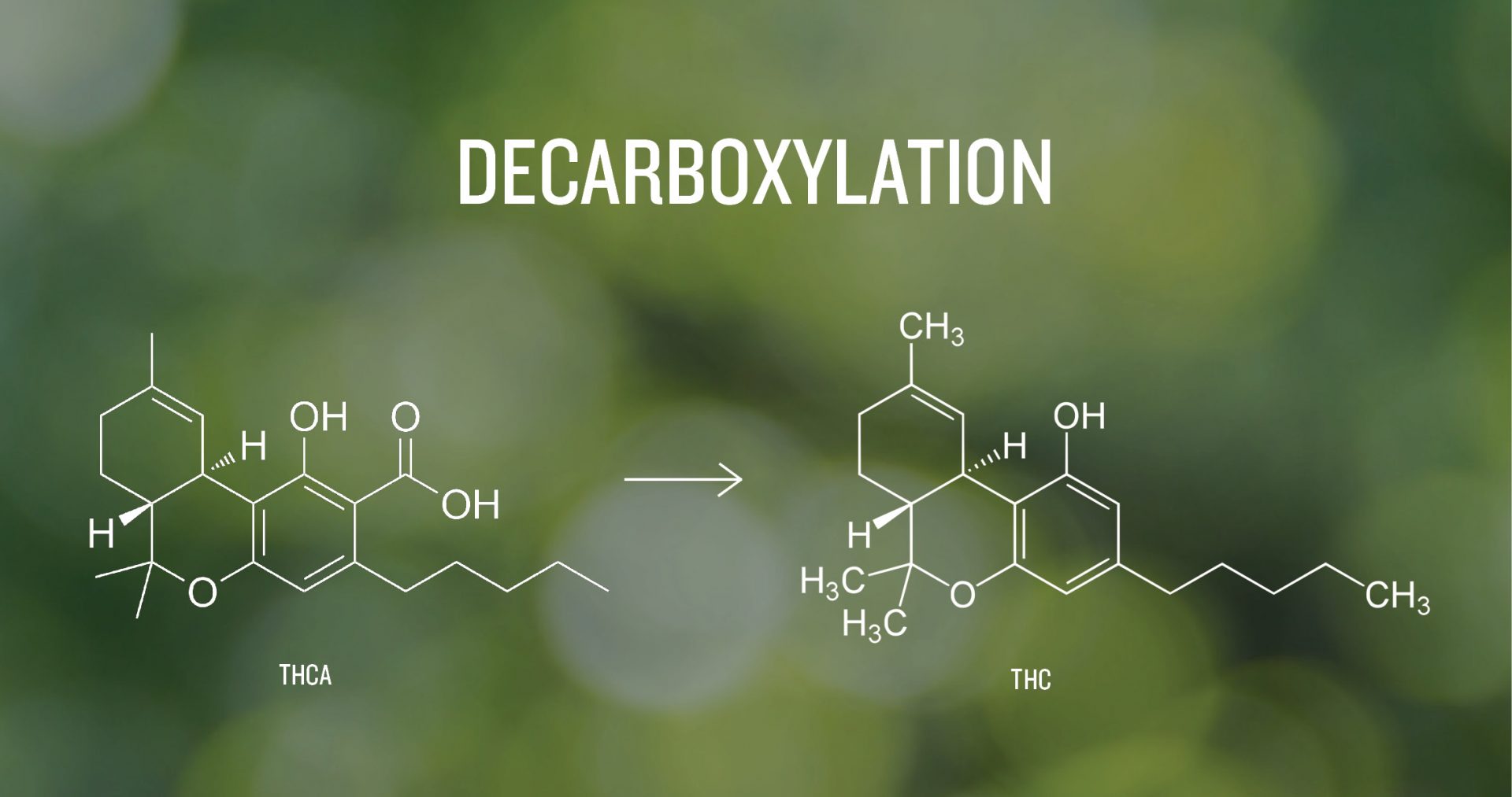 Decarboxlyation