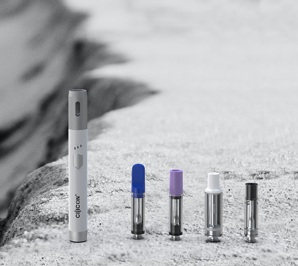 An All-Rounder with an incredible compatibility