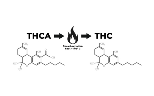 Decarboxylation-THCA-to-THC-1024x334-1
