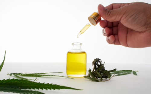 Does-Your-Oil-Have-an-Expiration-Date-Ways-to-Preserve-the-Longevity-of-Your-Cannabis-Oil-2