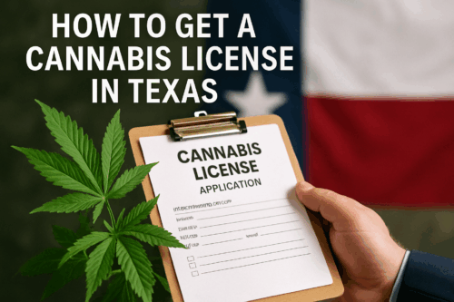 How to Get a Cannabis License in Texas