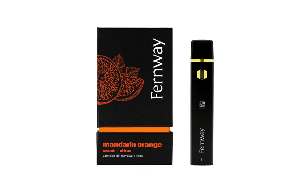 Massachusetts-Best-Top-10-Best-Selling-Disposable-Vapes-and-Brands-Fernway