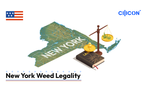 New-York-Weed-Legality