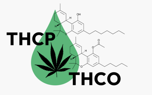 THCP-vs.-THCO