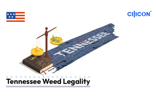 Tennessee-Weed-Legality