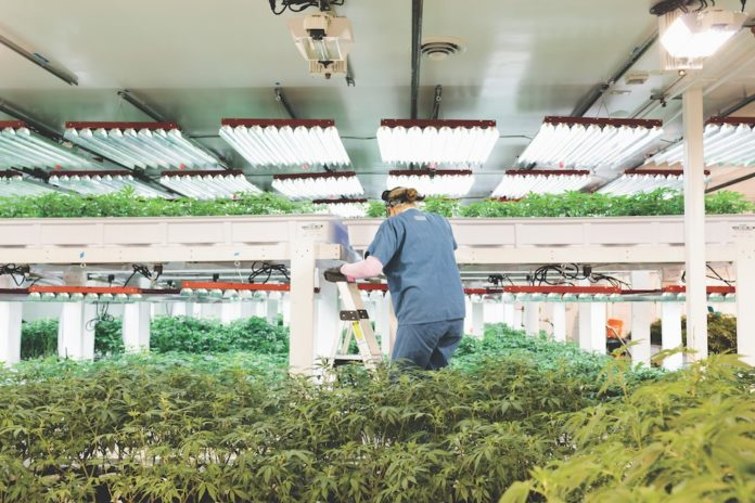 Bob and Katrina's Warehouse