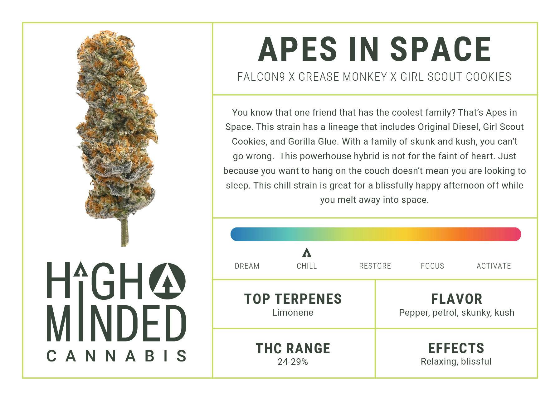 High Minded Apes In Space