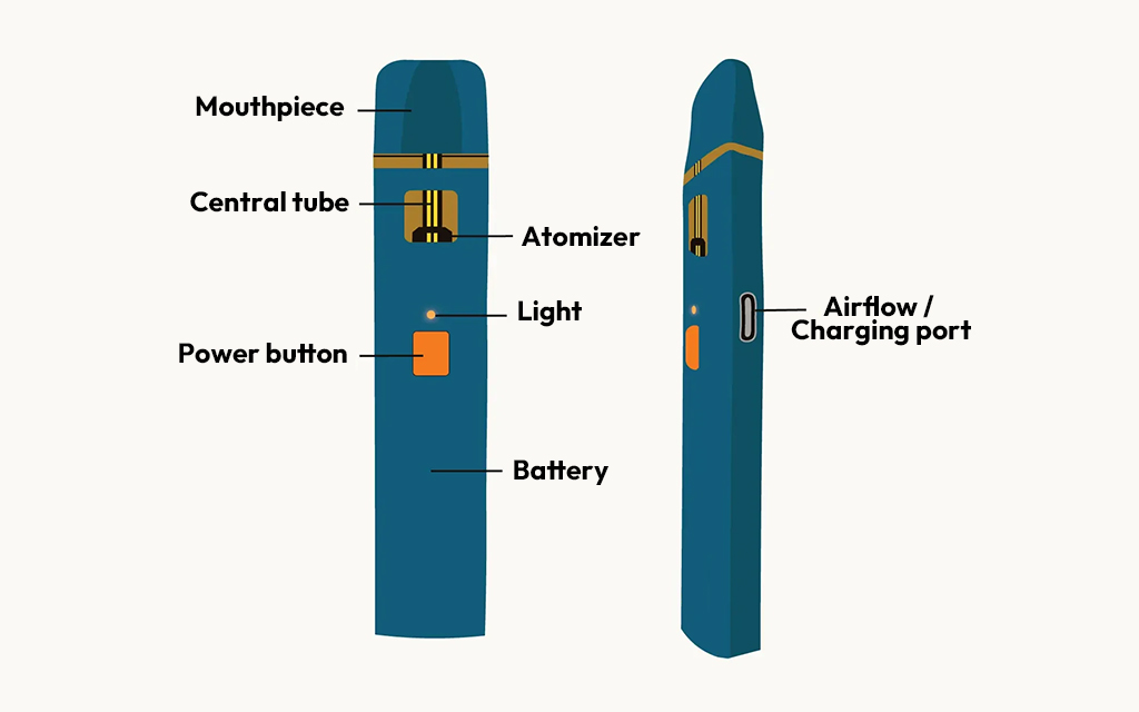 Parts of a Disposable Vape Pen