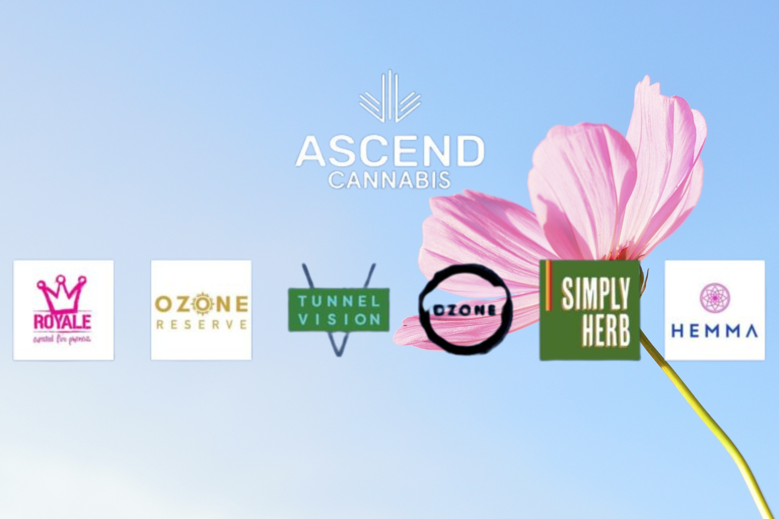 Ascend Wellness Holdings with branch brands