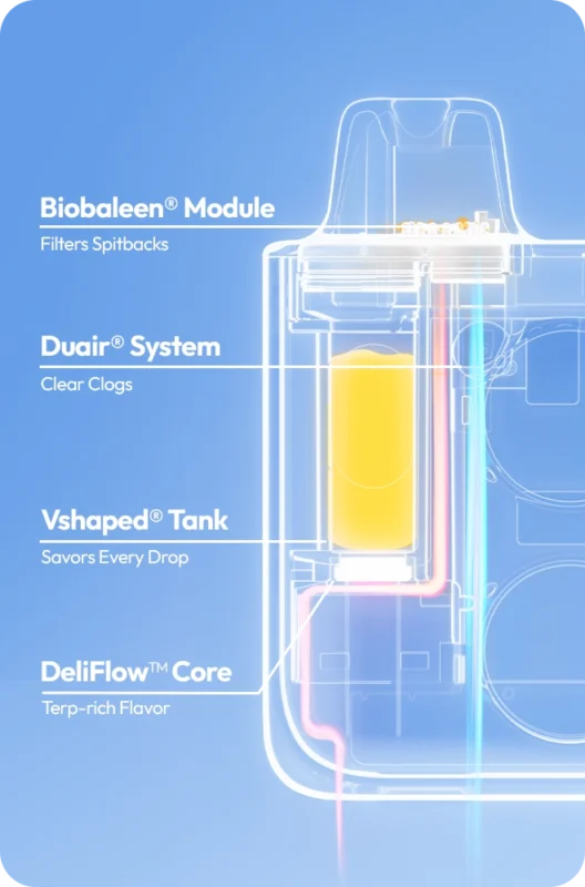 CILICON-Three-Solution