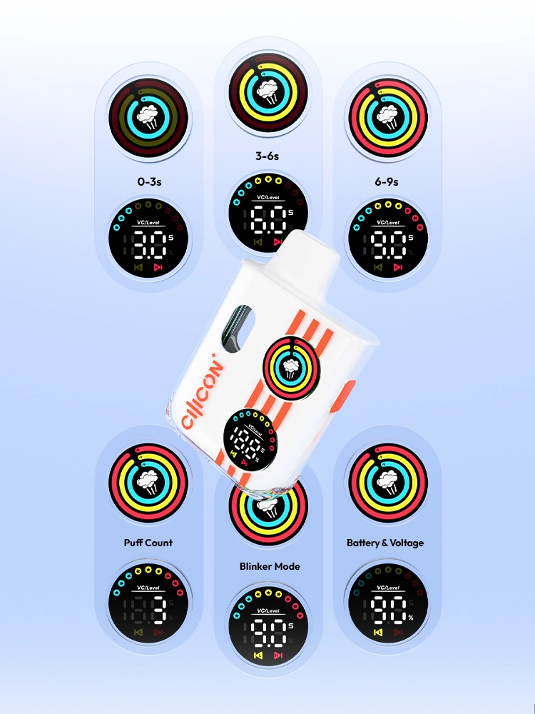 Dual-Screen-Display-3